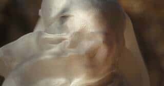 Saodat Ismailova: Melted Into the Sun