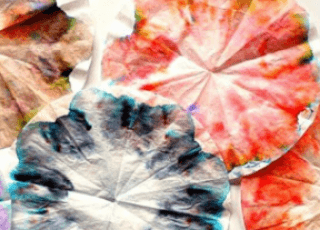 Super Science Saturday: Canvas of Curiosity
