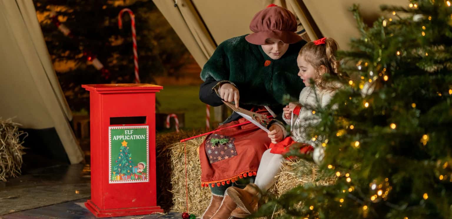 Toddle Into Christmas at The Web Adventure Park