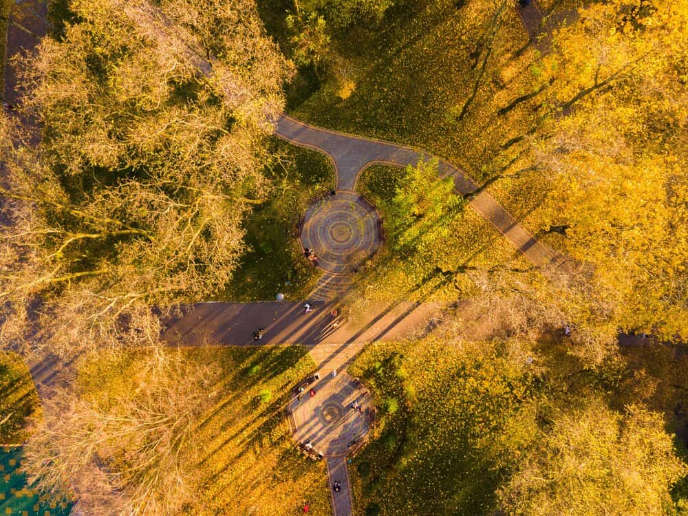 Golden Harvest Half Marathon & 5K/10K