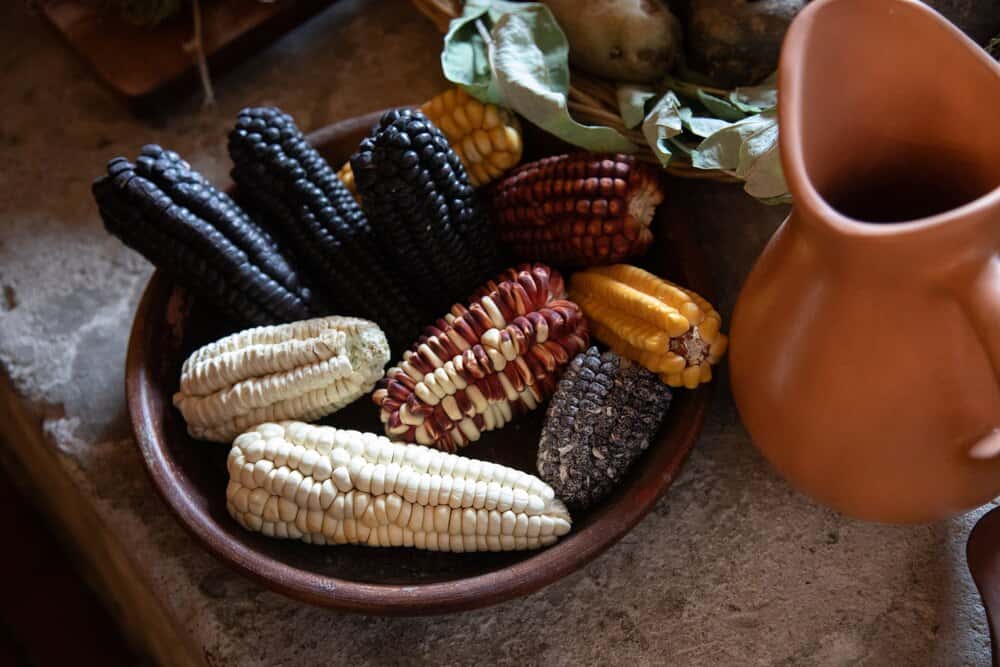 Indigenous Peoples' Day