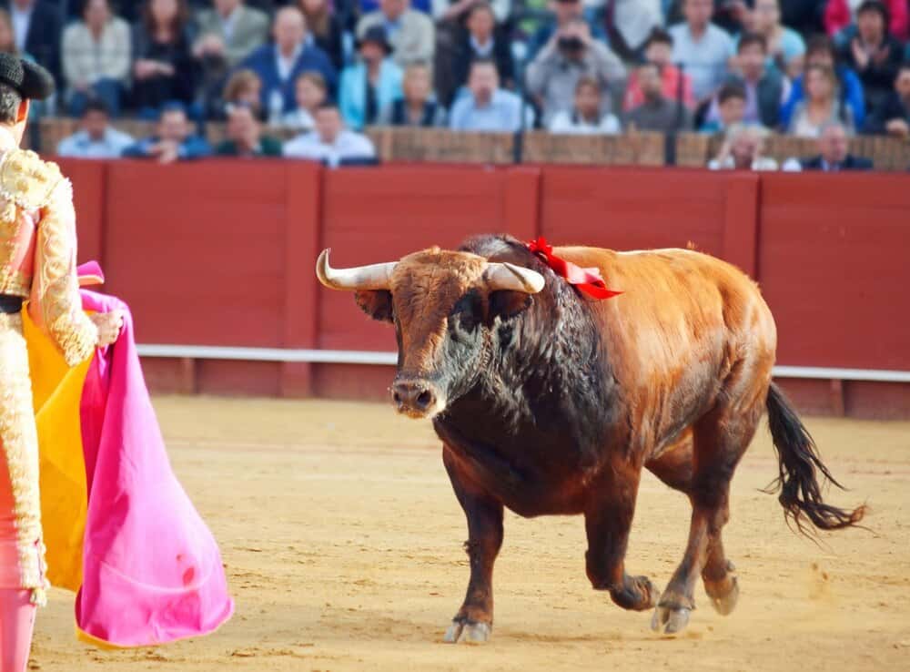 Corrida del Motín