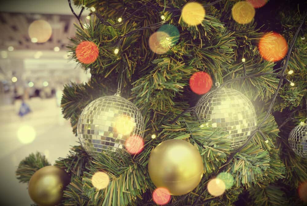 Beyond Paradise Christmas Party