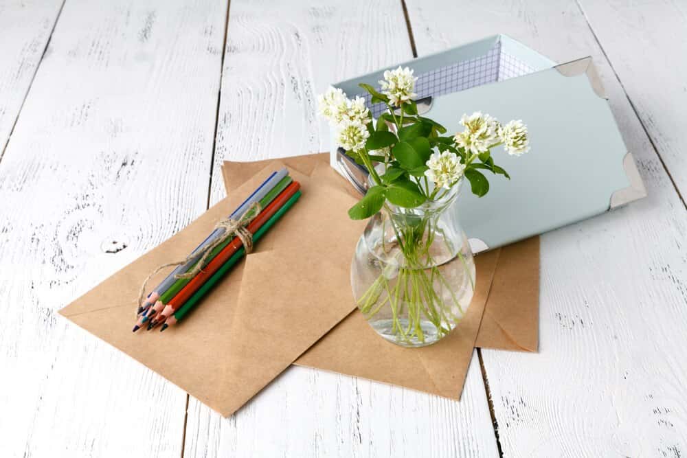 The Growing Up Self-Care Workshop for Parents/carers & Children (aged 8-12)