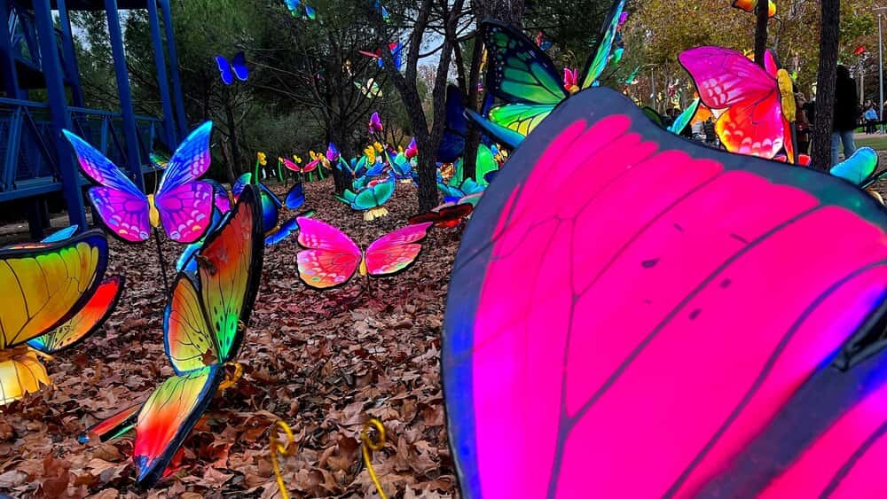 Mr Dot Butterfly Trail