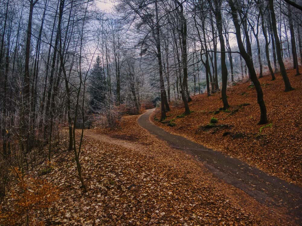Rutas en la naturaleza +55: Korrosparri