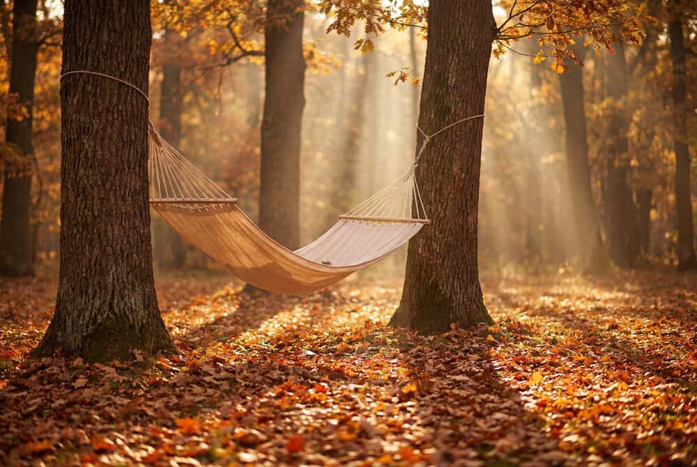Rest & Release — An Autumn Breathwork, Sound & Cacao Ceremony