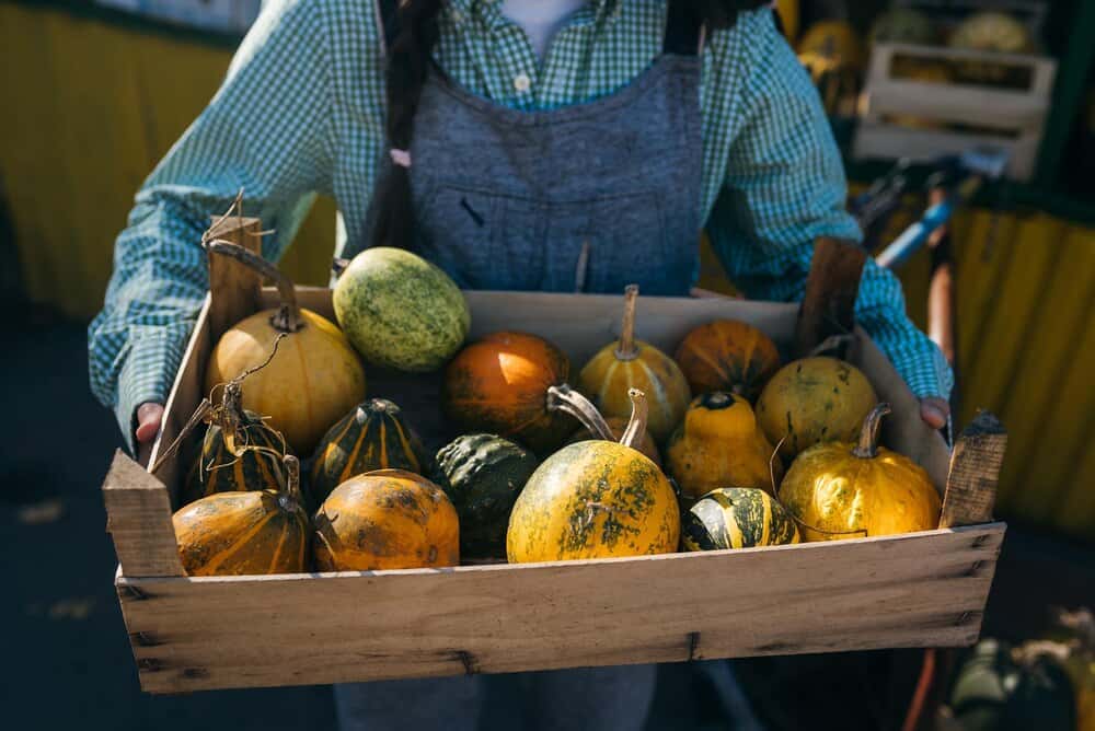 Mercado de Otoño en Liérganes: 47 productores locales