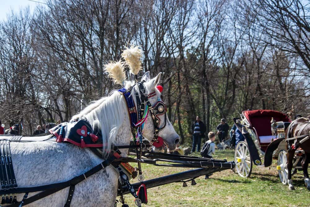 La XXVII Subida al Castillo: motores en el parque