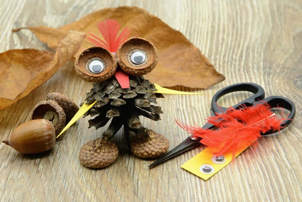 Animal Tails: Our feathered friends