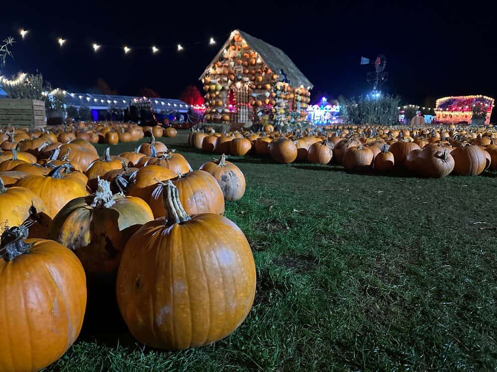 Harvest Nights 2026: a spooky walk at Newfields