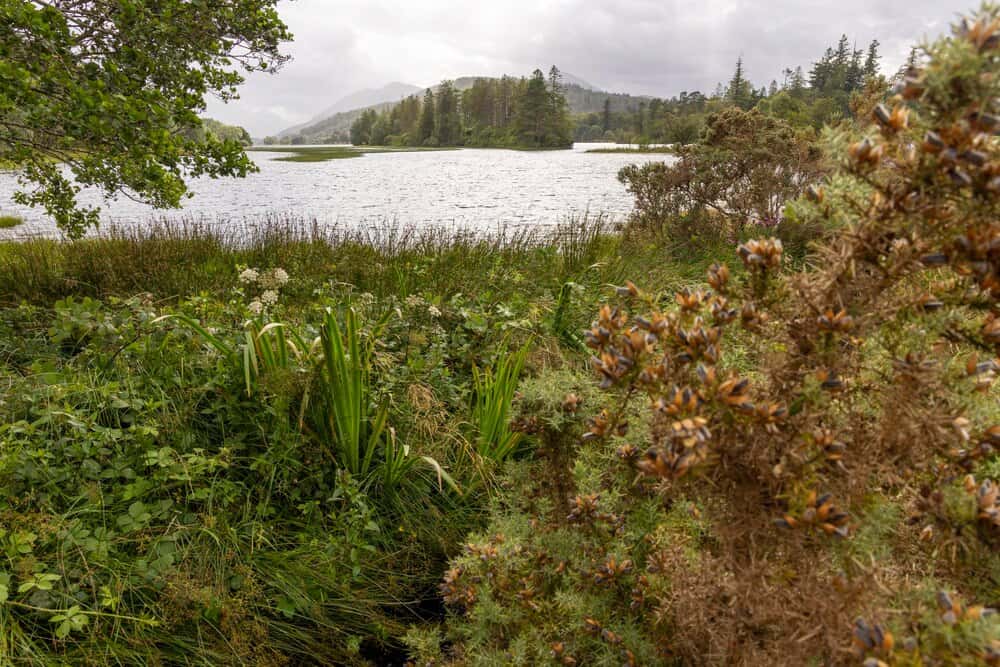 Park Managers Forum October 2026 - Delivering Nature Recovery