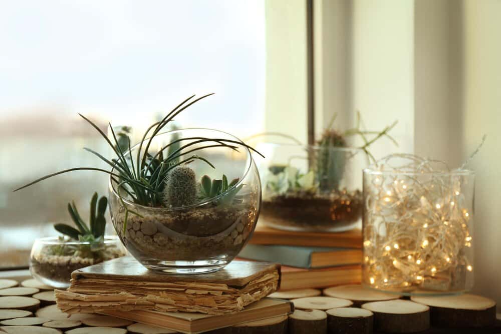 Crystal Feng Shui – Crystals for Health, Healing and Wellbeing