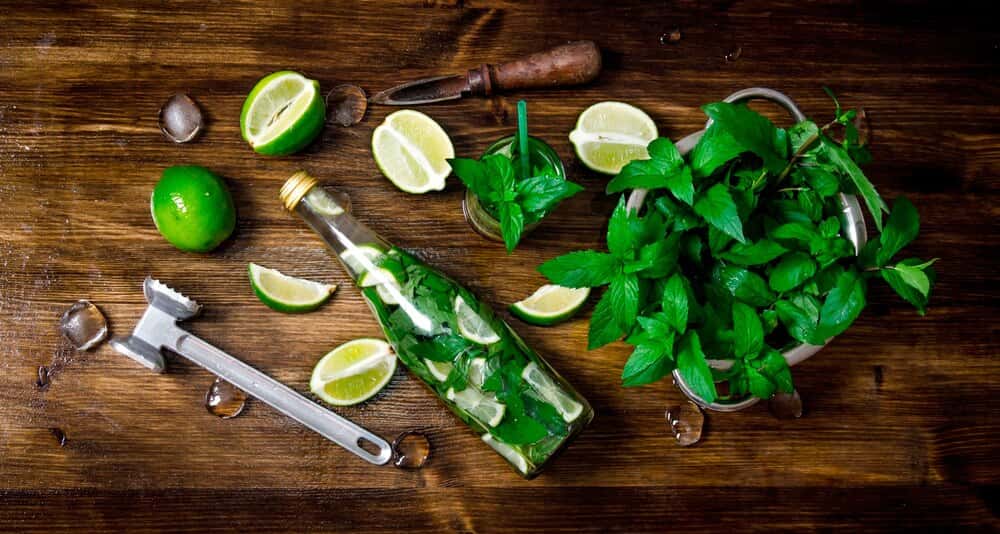 Gin Safari