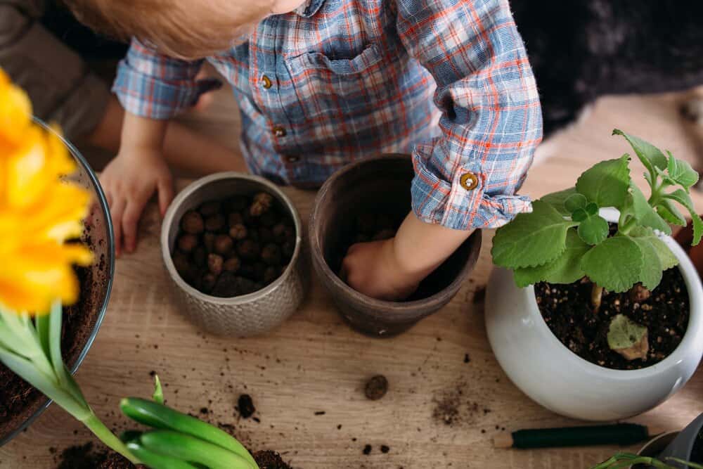 Teen Gardening 101 - with Amy Mullen
