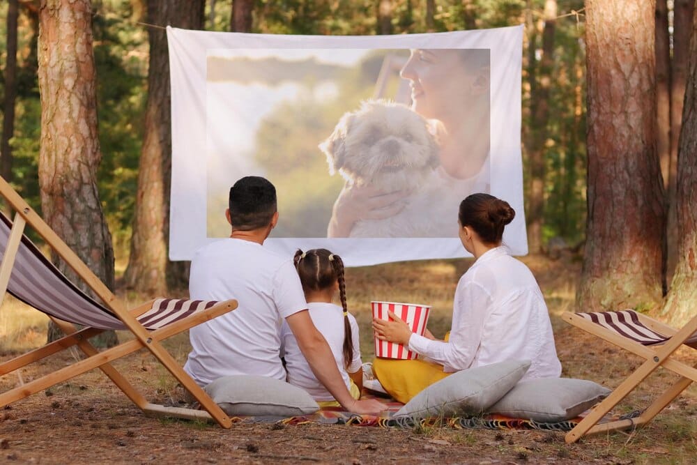Cine de Verano 2026