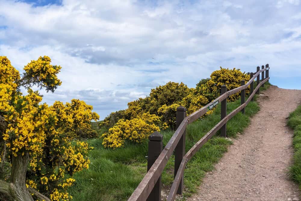 Ruta de tardeo por Lugo: las mejores terrazas de primavera