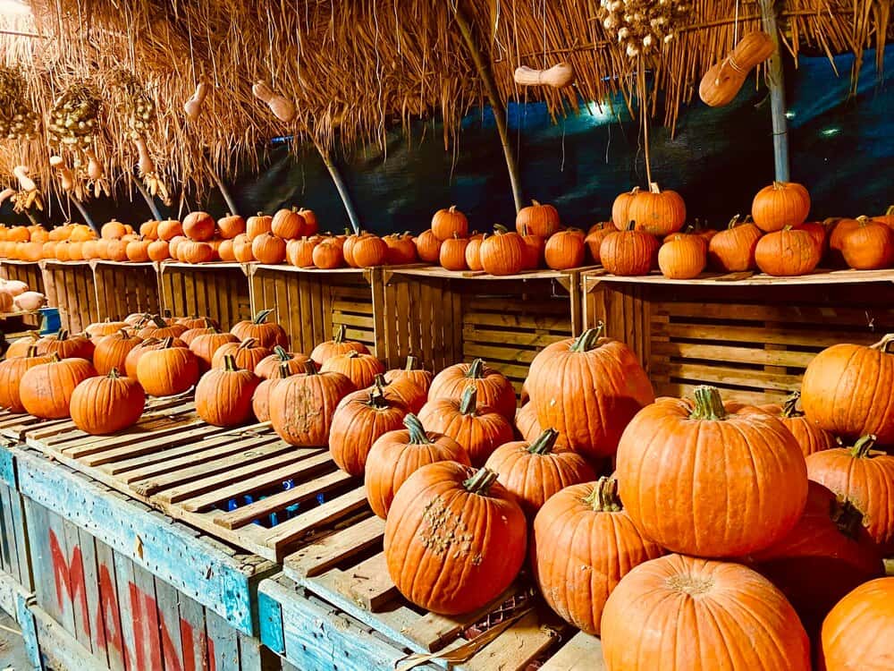 The Great Circleville Pumpkin Show's final weekend
