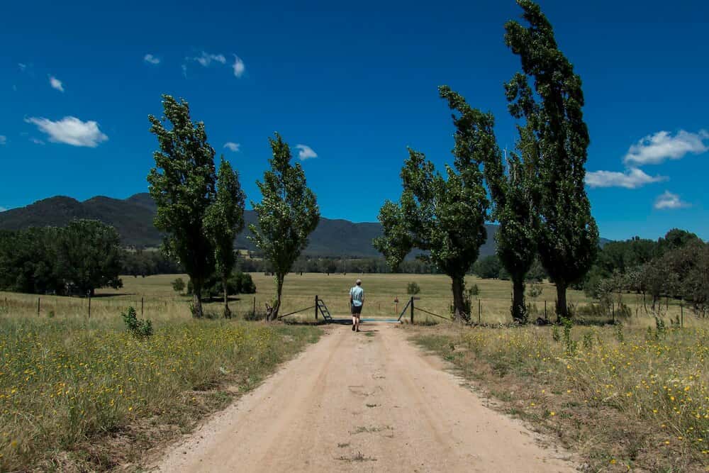Rutas por el Parque Regional del Sureste desde Rivas