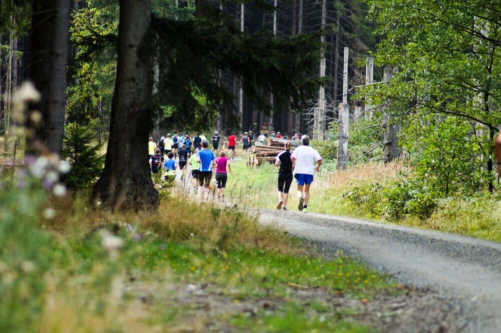 Sherwood Christmas 10k & 5k