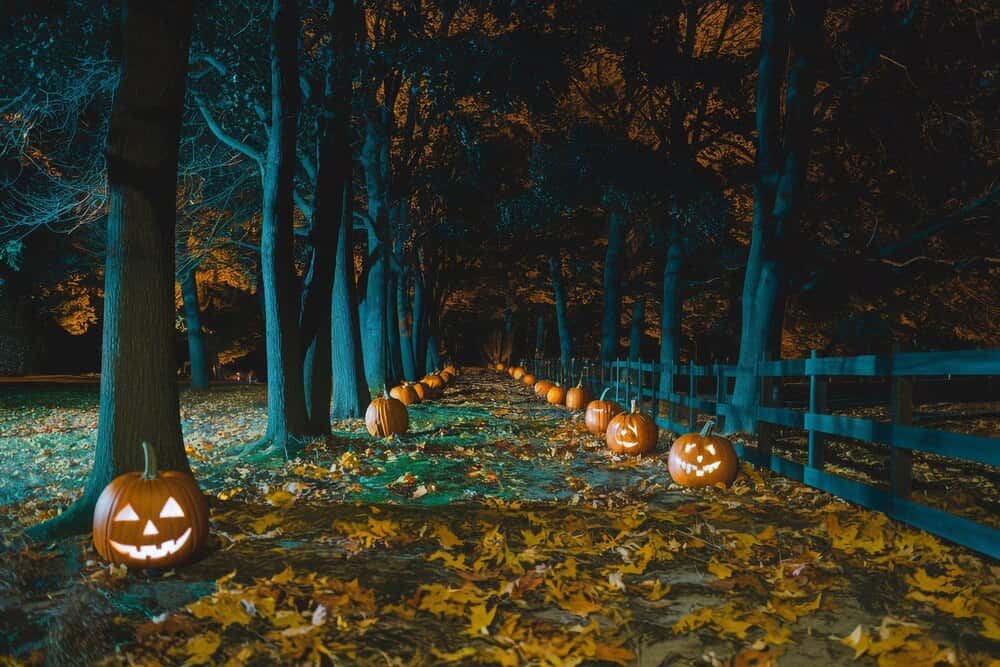 Halloween Hikes and Hayrides
