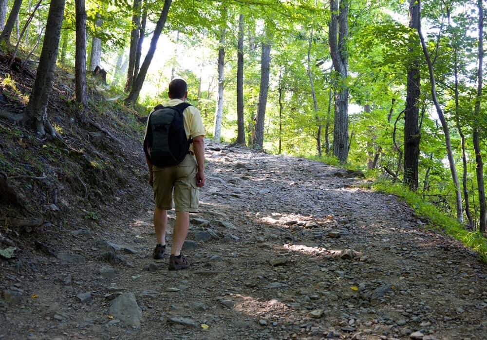 Hike Henry Hollow