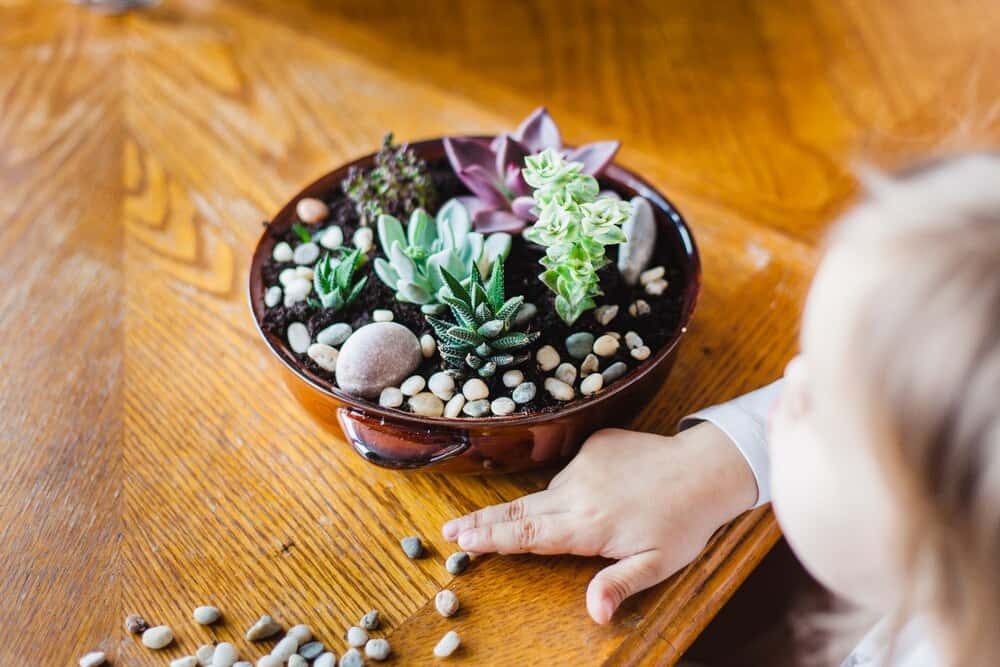 Little Sprouts