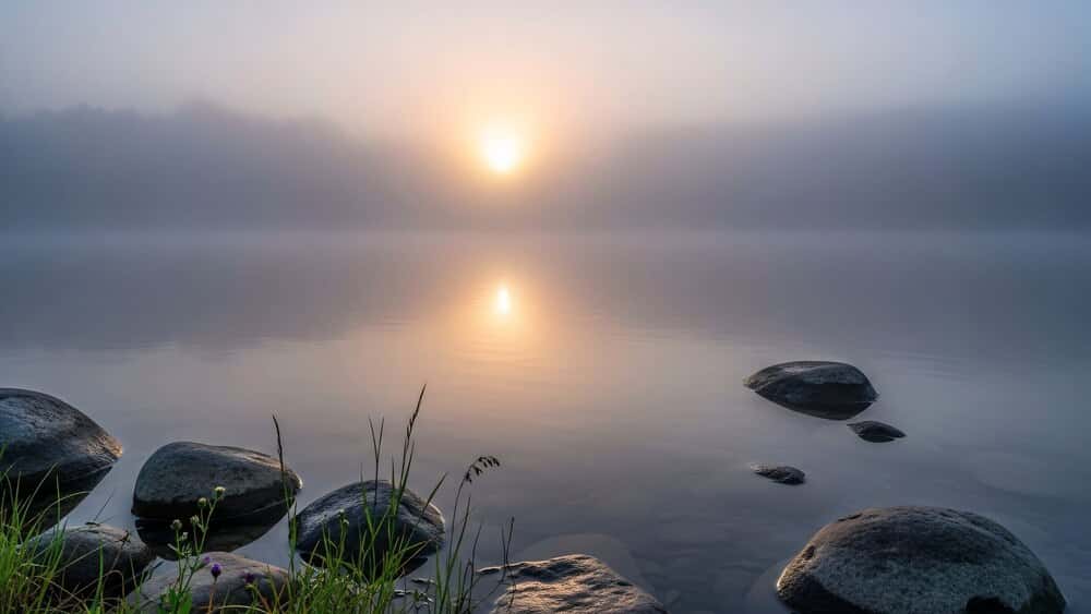 Loving Kindness Meditation (Metta) led by Julian Briggs