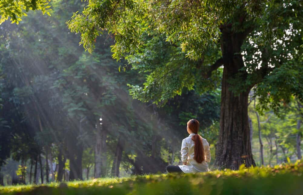 Silencio Verde: Meditar coa Natureza