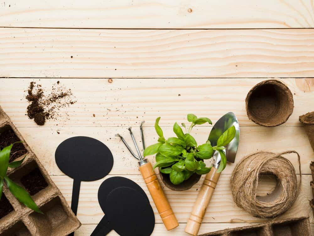 Horticultura Práctica na Contorna Urbana