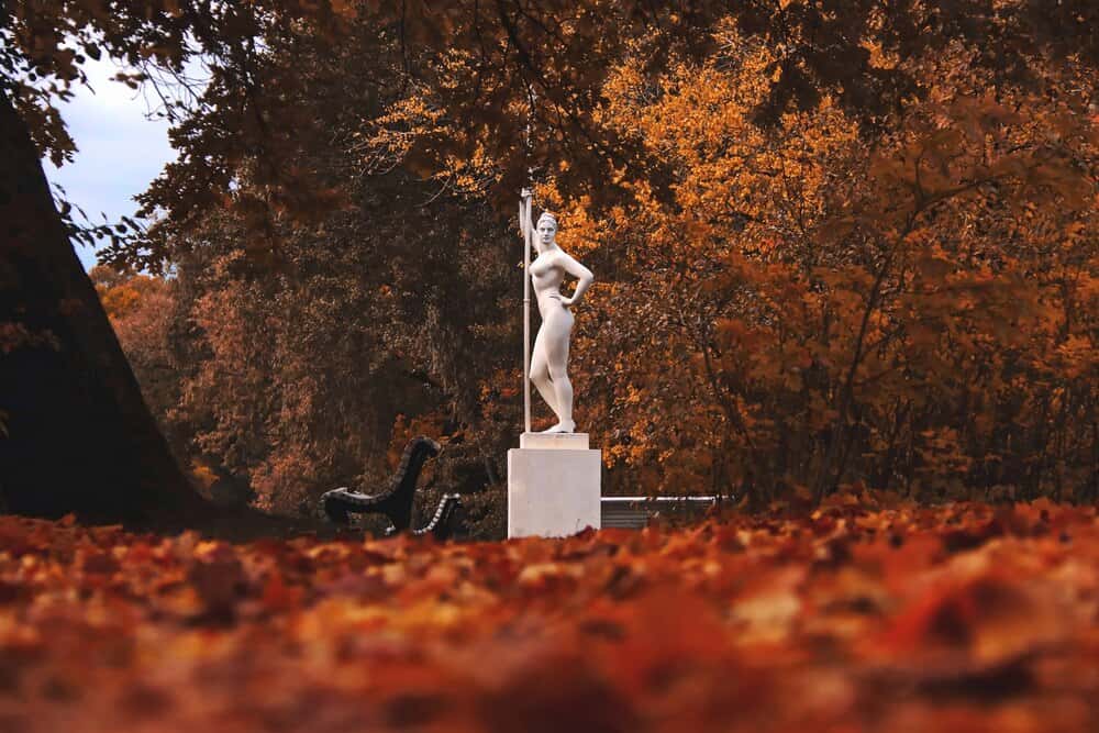 Fall - Exhibition by artists from Crisis and St Mungo's and Siobhan Coppinger