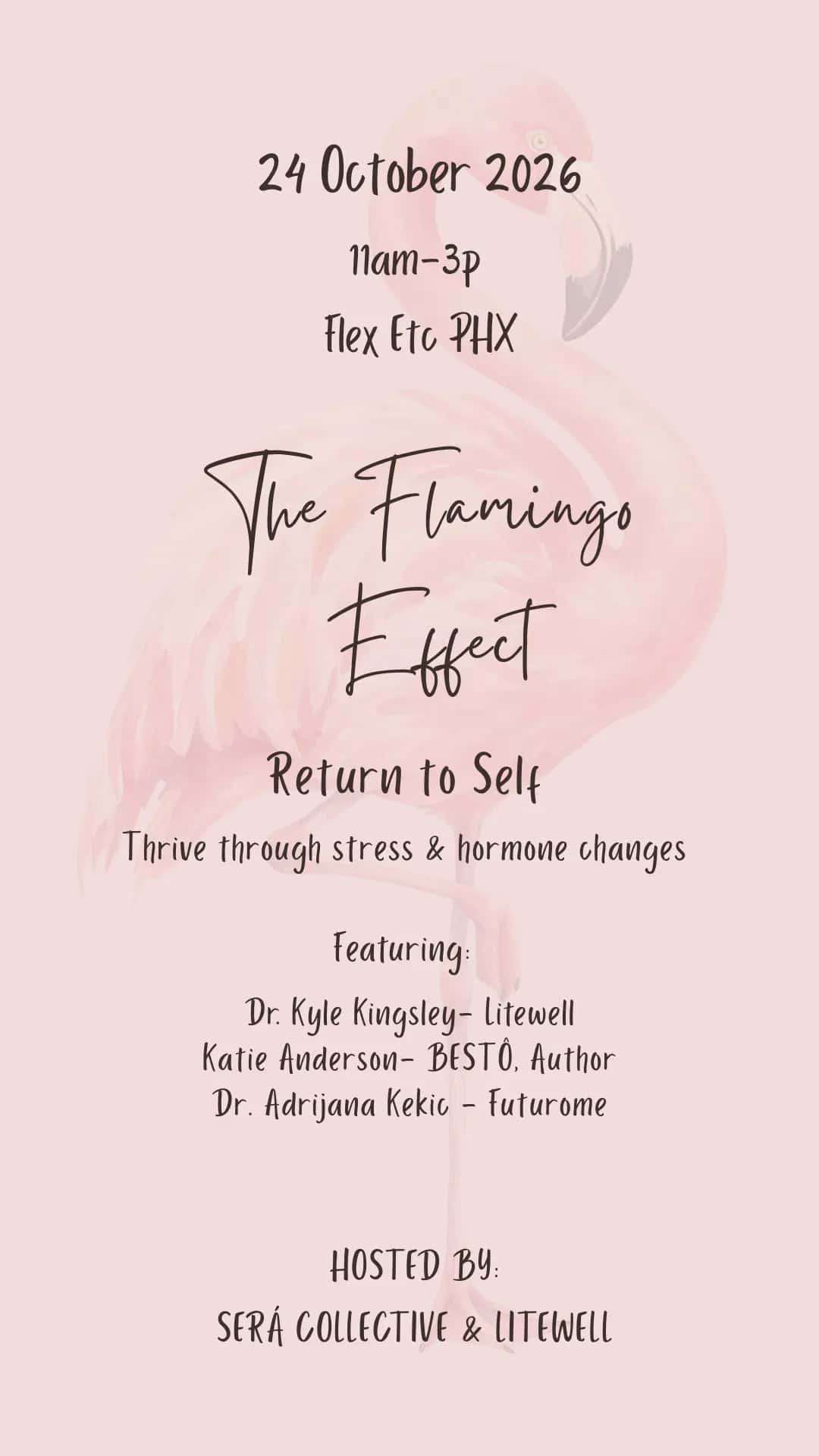 The Flamingo Effect - Return To Self