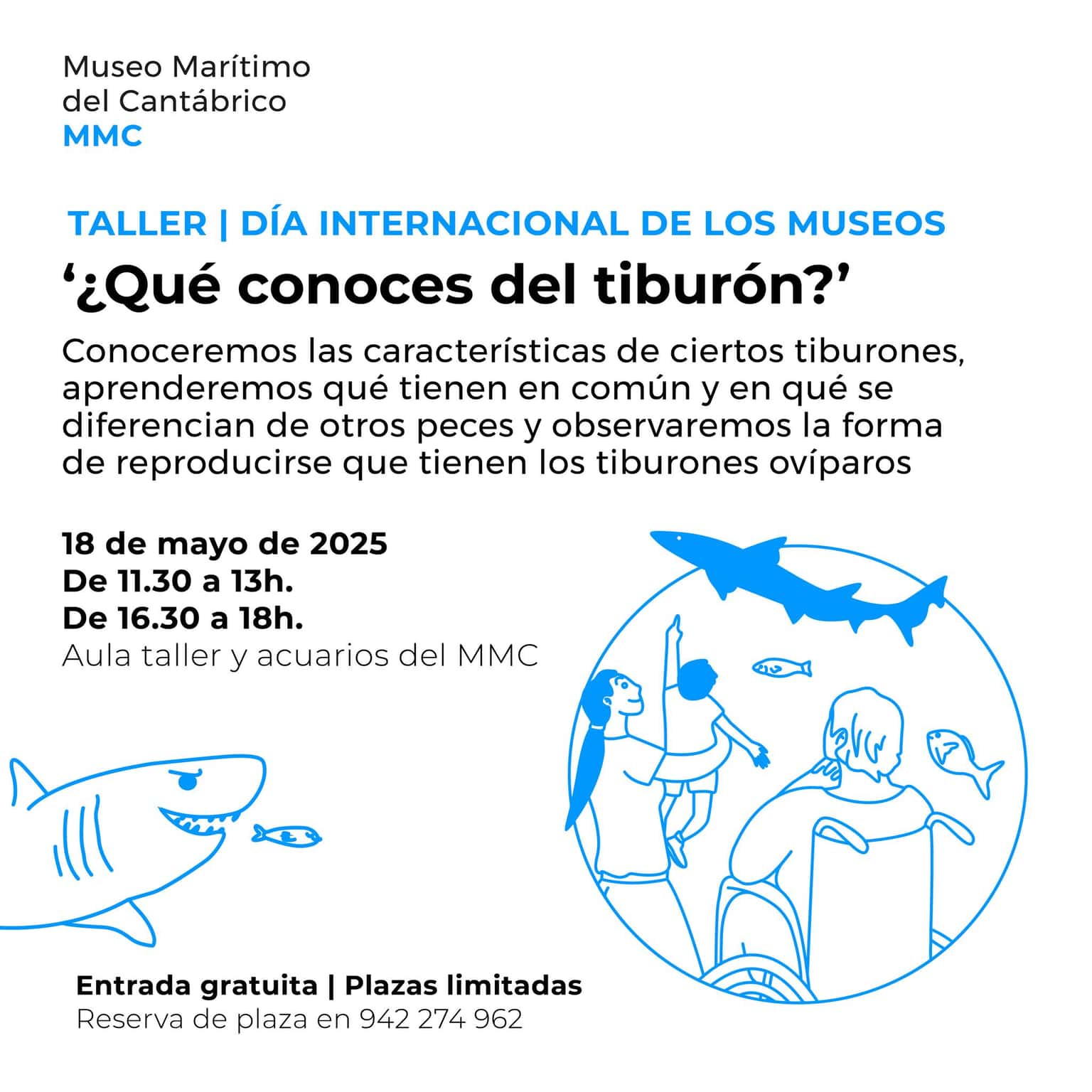 ¿Qué conoces del tiburón?