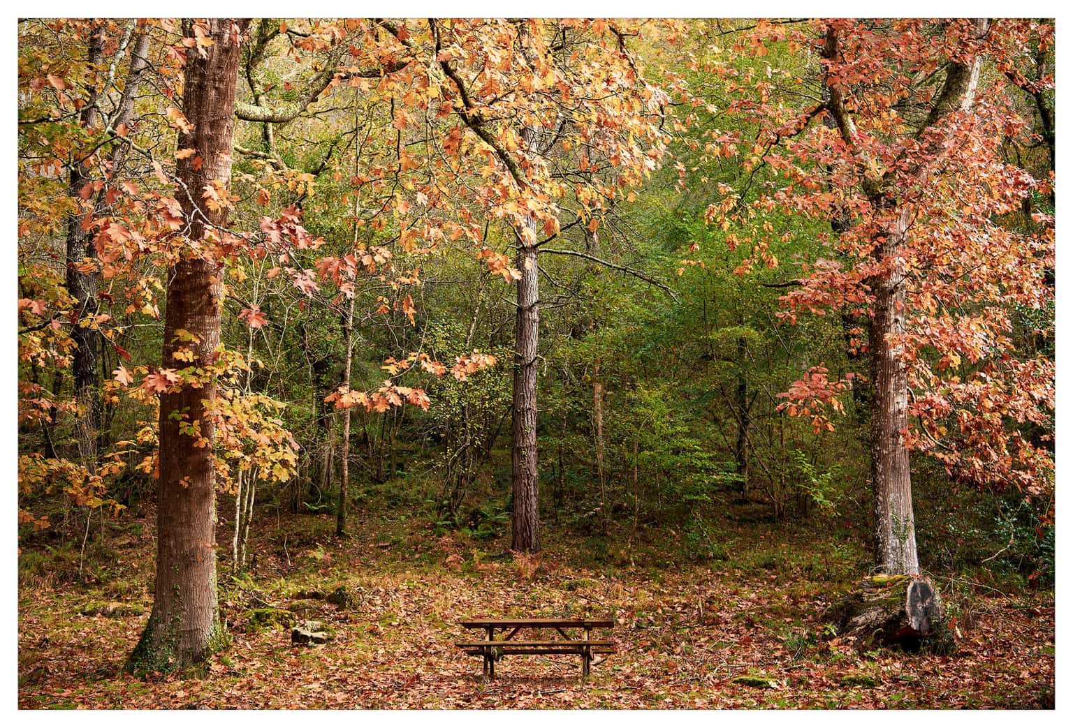 Nuevo taller de fotografía de paisaje