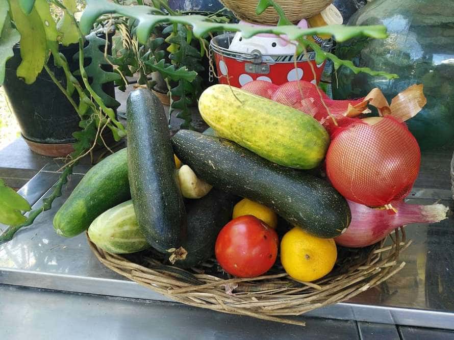 Taller familiar: Cocinando con la huerta de temporada