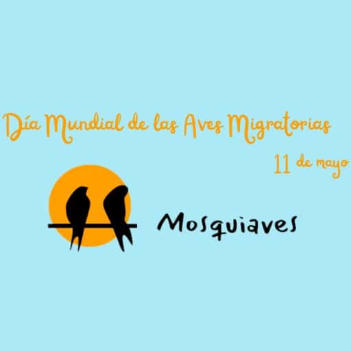 Día Mundial de las Aves Migratorias