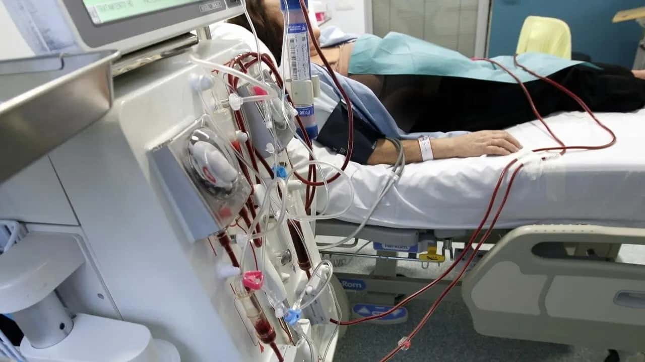Carrera solidaria Donar es Amar