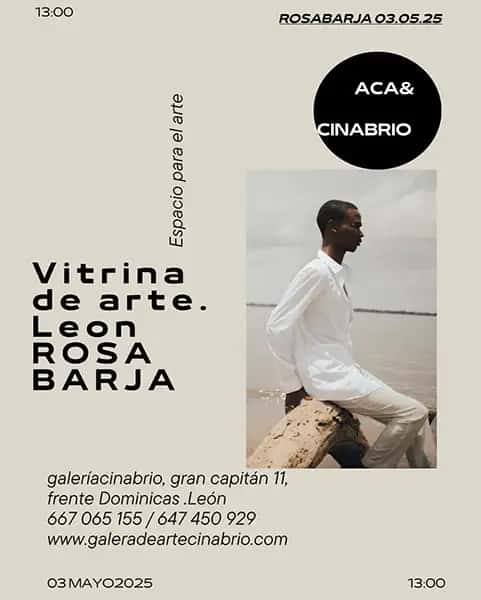 Rosa Barja. Vitrina del arte León. Galería de arte Cinabrio