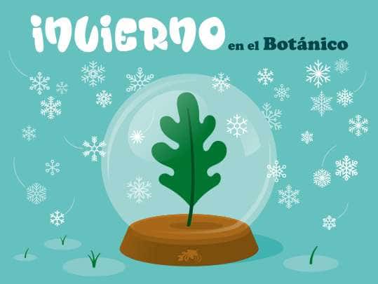 Invierno en el Botánico