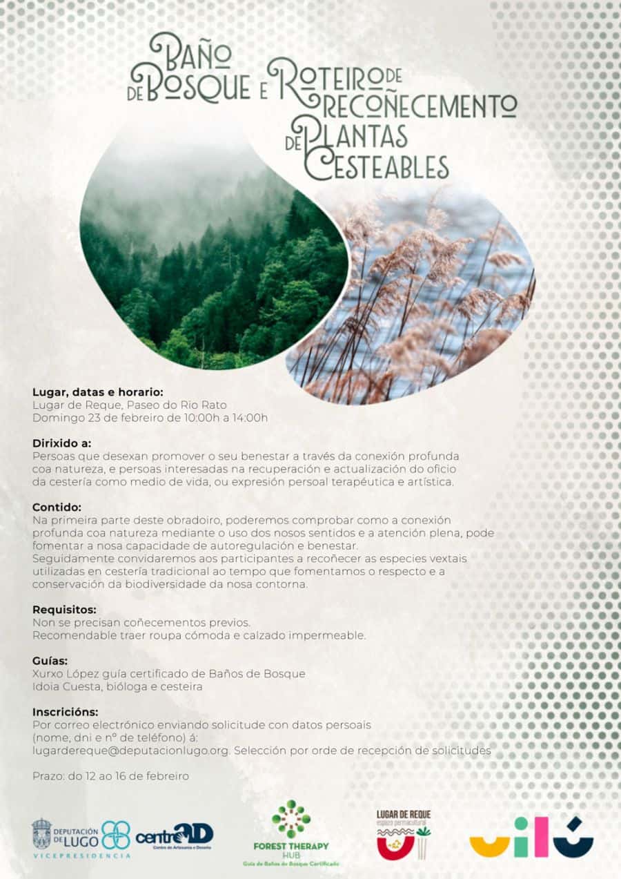 Obradoiro de Cestería