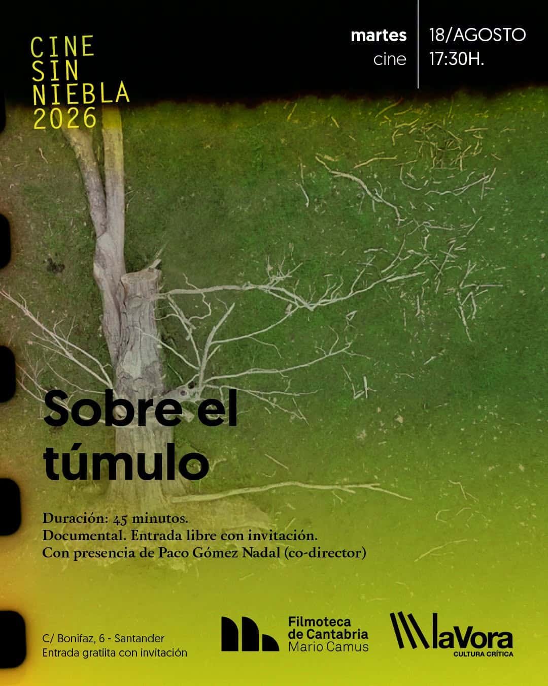 Cine sin Niebla 2026: Sobre el túmulo