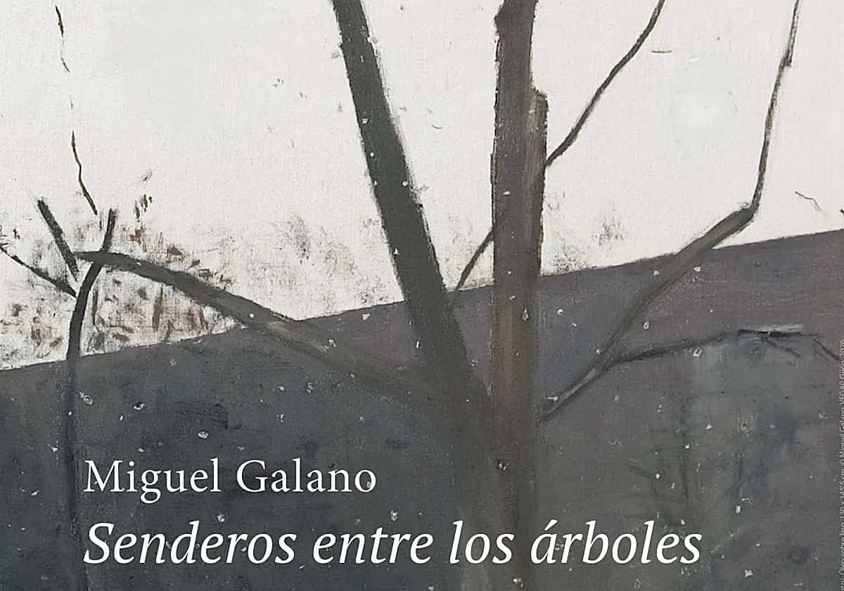 Miguel Galano: Senderos entre los árboles