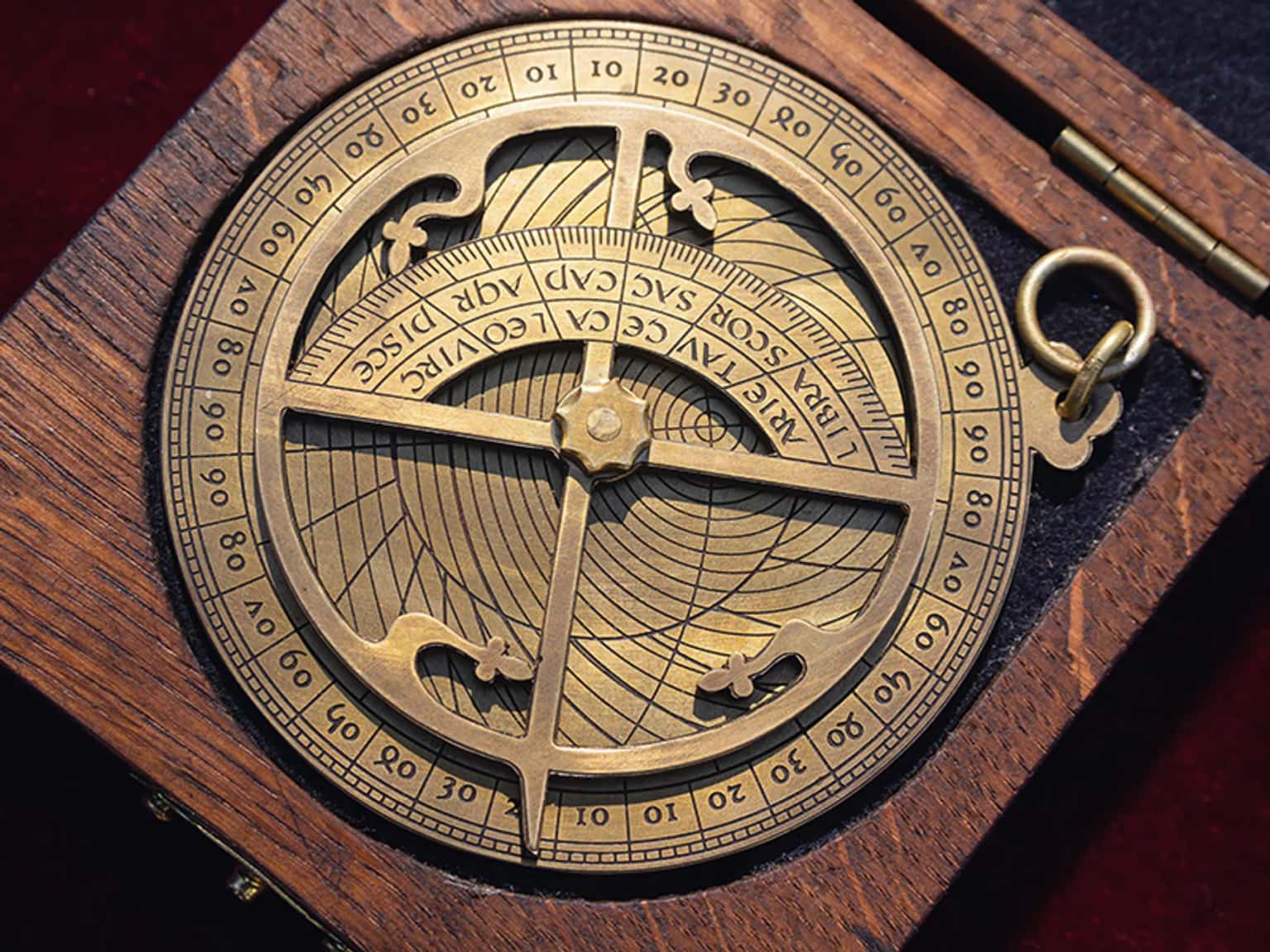 Roots of Discovery: Sands of Knowledge