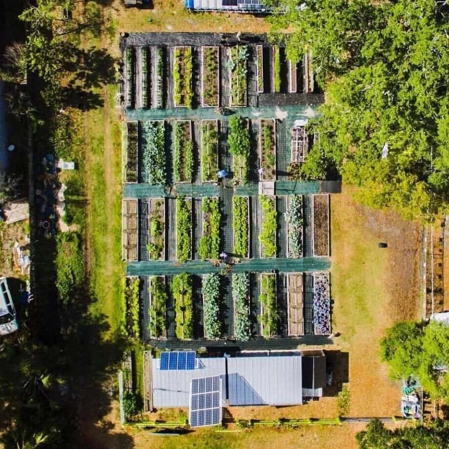 The Sustainable Living Project