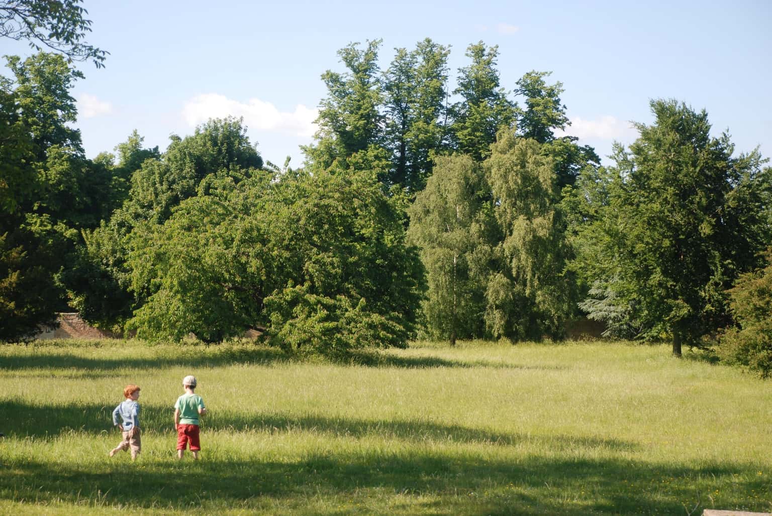 Halloween Adventure at Wandlebury