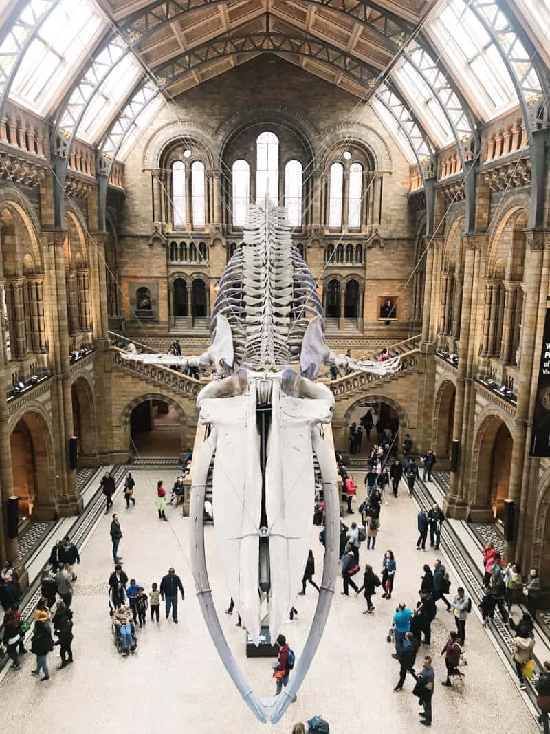 Natural History Museum
