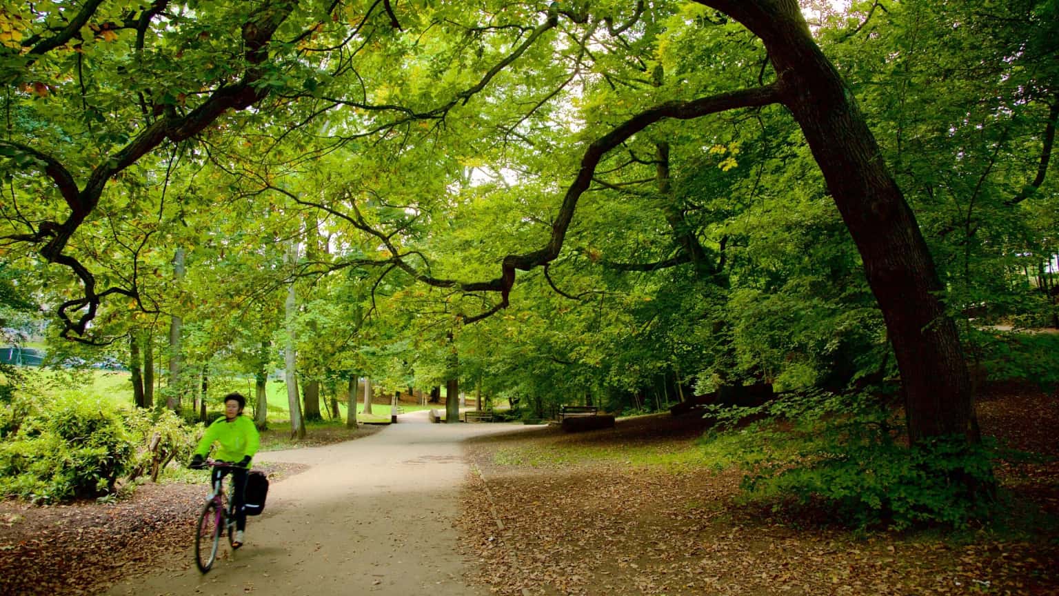Out of Office - Sheffield Netwalking