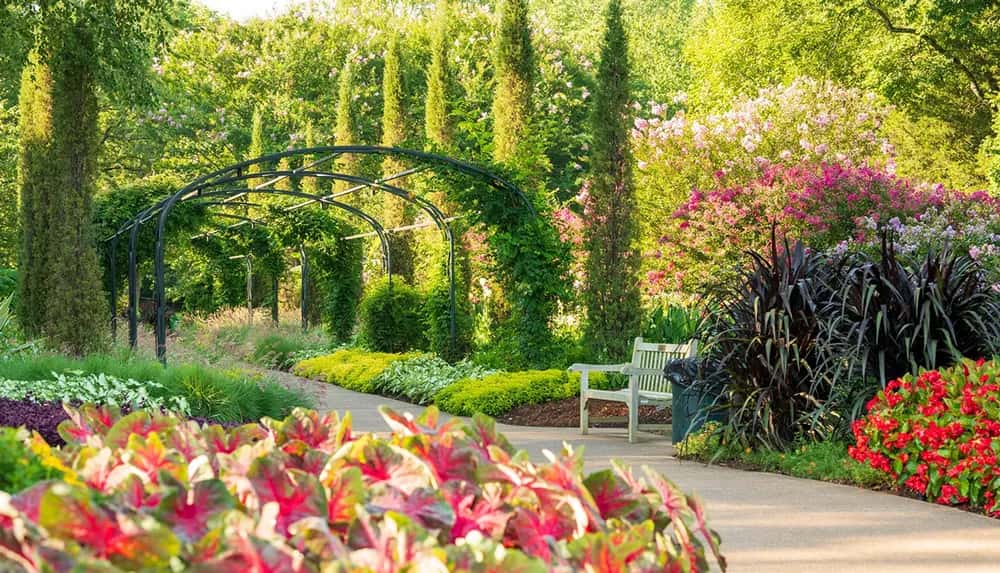 Designing with Trees and Shrubs