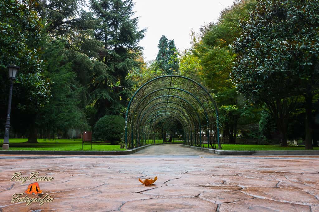 Paseo de la Rosaleda