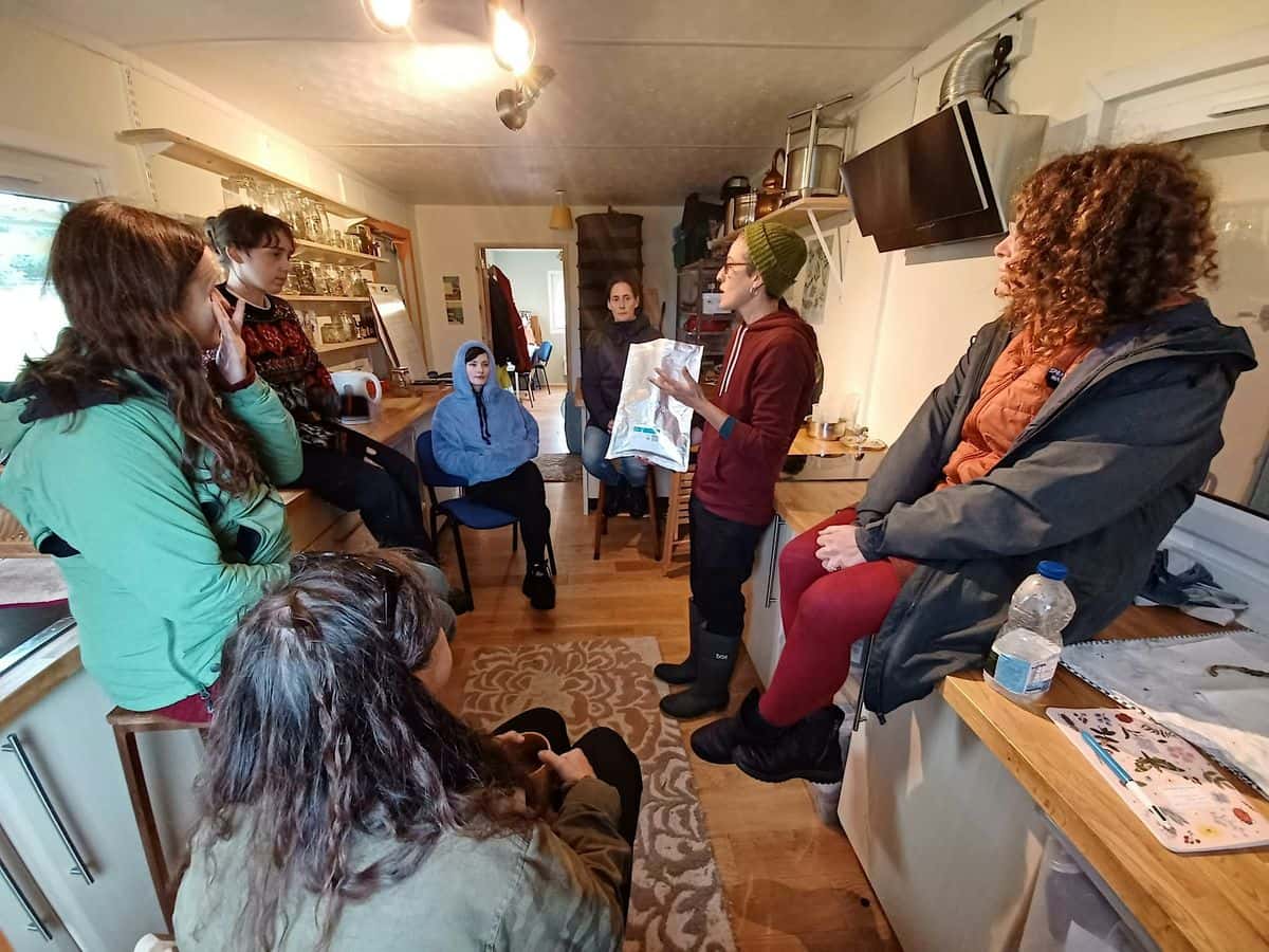 Plant Allies Immersion: Juniper